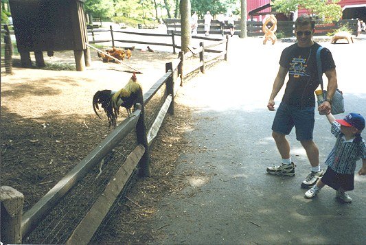 Ed, Logan & Rooster